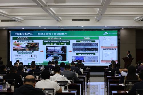 2025企創(chuàng)融通匯富硒產(chǎn)業(yè)專題現(xiàn)場活動成功舉辦，信息技術咨詢服務賦能產(chǎn)業(yè)升級